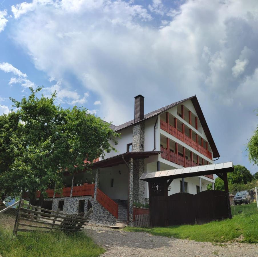 Casa De Vacanta Perla Colibitei Kolibica Kültér fotó
