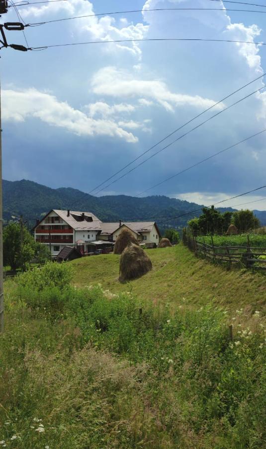 Casa De Vacanta Perla Colibitei Hotel Kolibica Kültér fotó