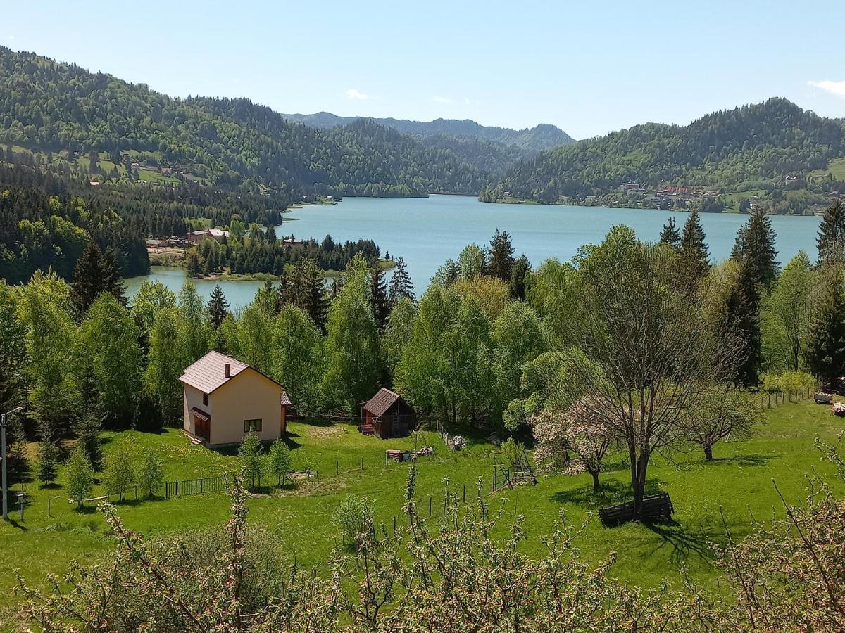 Casa De Vacanta Perla Colibitei Kolibica Kültér fotó