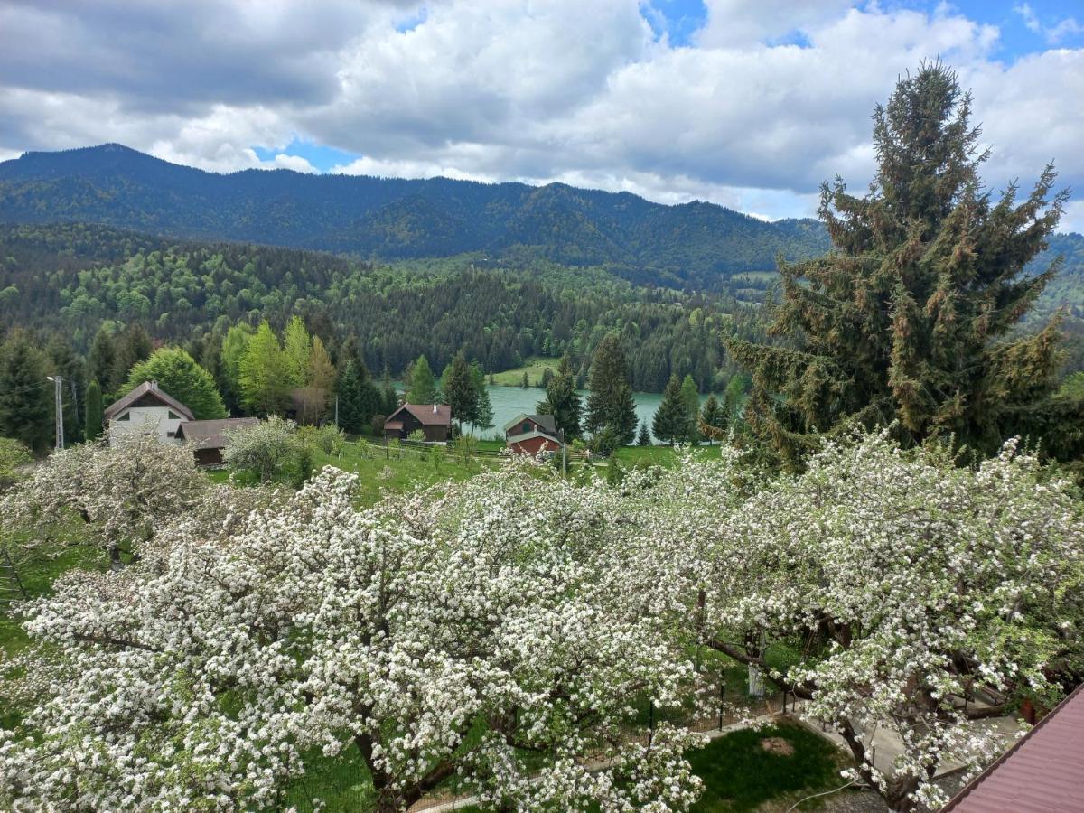 Casa De Vacanta Perla Colibitei Kolibica Kültér fotó