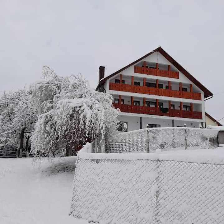 Casa De Vacanta Perla Colibitei Hotel Kolibica Kültér fotó